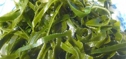 Sve o korištenju alge